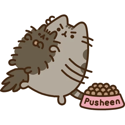 pushen, cat pushen, pushin pip, gato universal, gato universal