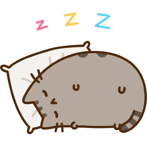 pushen, gato pusin, gato universal, o pusin está a dormir