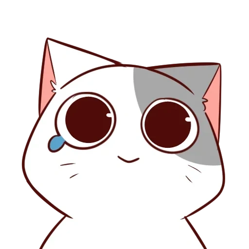 kucing, pus nyanagami, anime kucing berwarna-warni