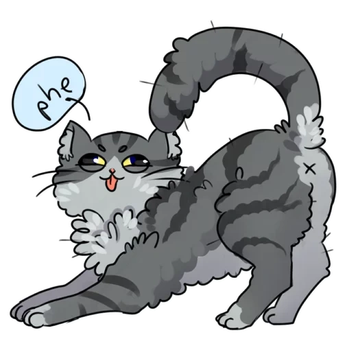 cat, seal, cotova doldali, a furry seal, grey cat pattern