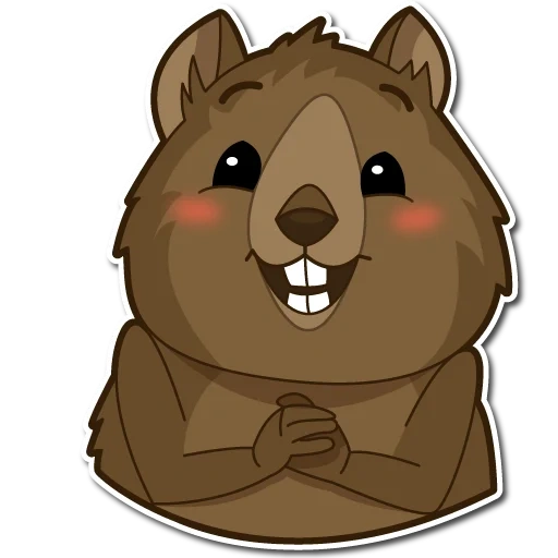 kuvoka, engraçado, wombat