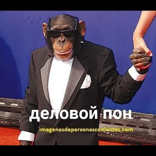 скриншот, обезьяна смокинге