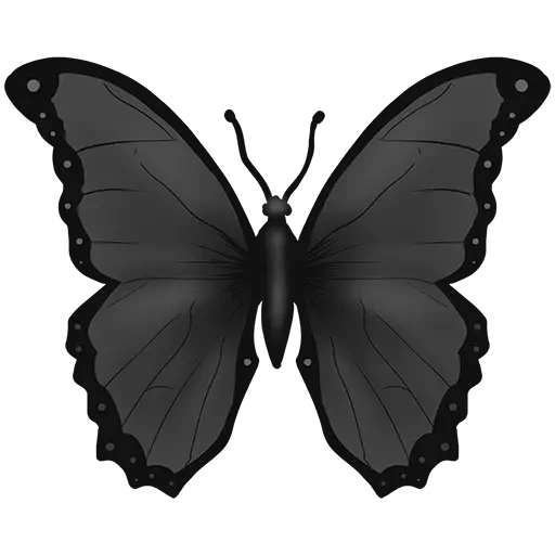 black butterfly, the silhouette of the butterfly, lou album papillon, the butterfly is black gloss, black butterflies with a white background