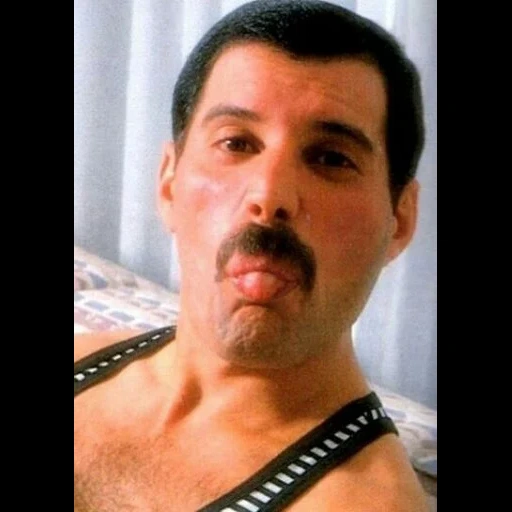 reine vivre, freddie mercury, freddie mercury, reine freddie mercure, freddy mercury est jeune