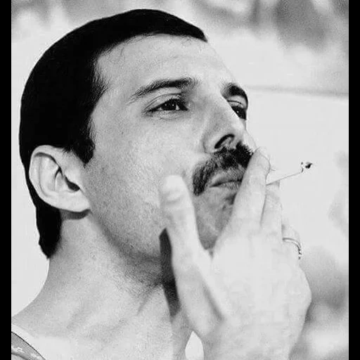 pria, freddy mercury, lukisan freddy mercury, freddie mercury moustache, rami malek memerankan karakter freddy mercury