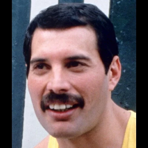 freddie mercury, freddy mercury é jovem, biografia de freddie mercury, freddy mercury com cabelo curto, freddy mercury bohemian rapsodia