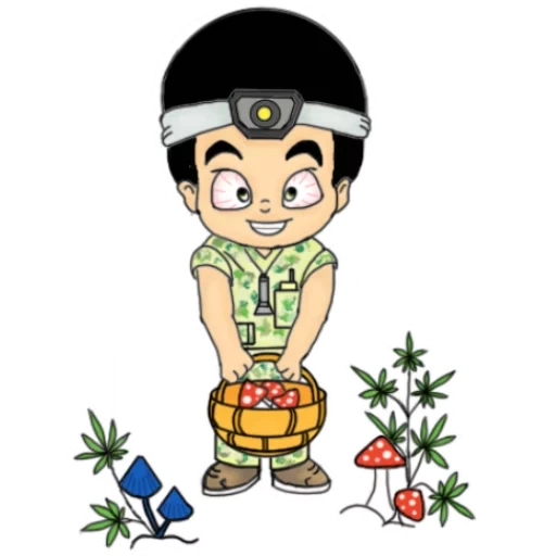 boys, male, kartun lucu, boy scouts of america, illustration boy