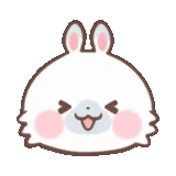 kawaii, tonton, gambar kawaii, kelinci dengan latar belakang putih, kelinci yang lucu
