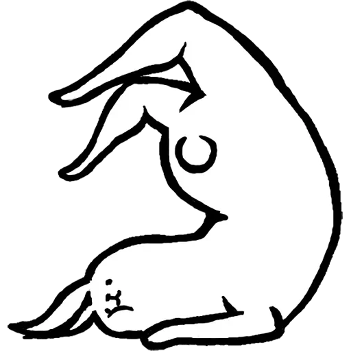 кот, позы йоги, йога асаны, тантра йога, rabbit with the beautiful legs