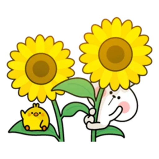 bunga matahari, daun bunga matahari, bunga bunga matahari, clipatt sunflower, pola bunga matahari