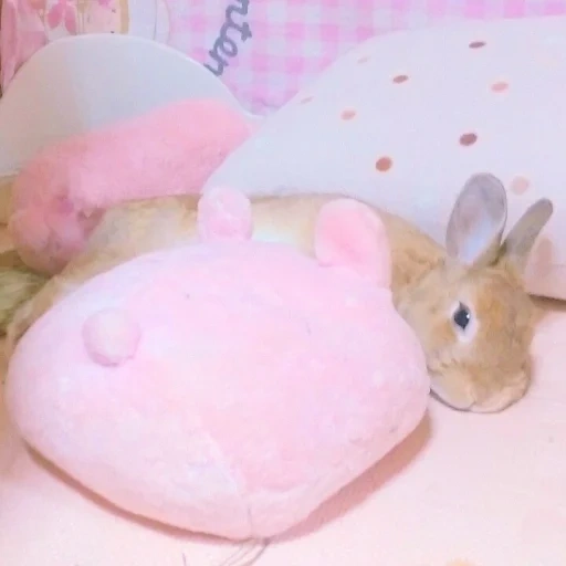 lapin, petit lapin rose, peluche de lapin, lapin en peluche, lapin en peluche couché