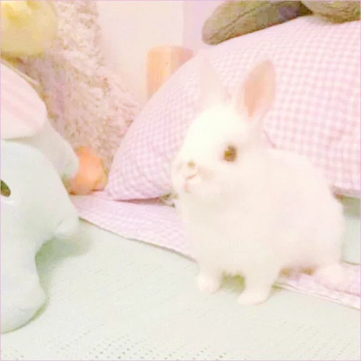 coniglio bianco, coniglio gnomo, gnomo coniglio bianco, coniglio sirena gnomo, decorato coniglio bianco