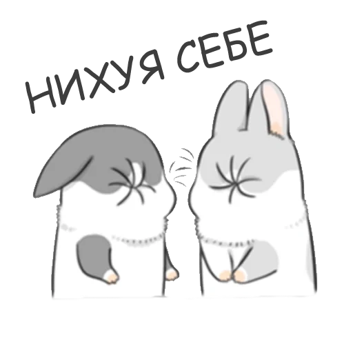 hase, rabbitpyl9, kaninchen machiko, rabbitpyl9 kaninchen