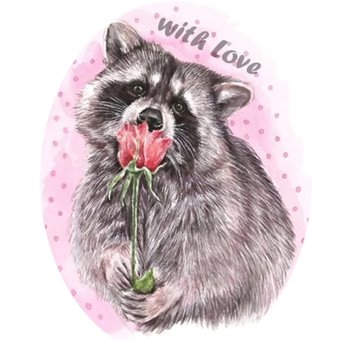 raccoon, raccoons, raccoon, raccoon flowers, raccoon enotovich