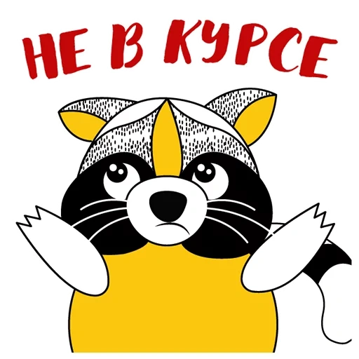 rakun, rakun elisha, raccoon beilanovsky