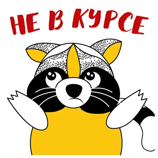 guaxinim, raccoon elisha, beilanovsky raccoon