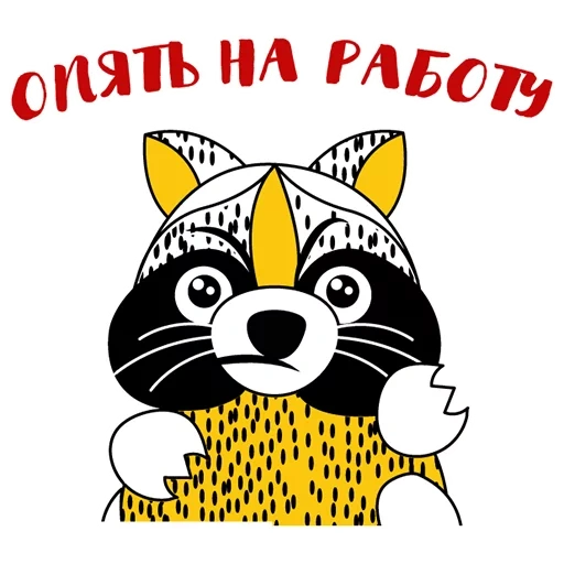 gato, guaxinim, raccoon elisha