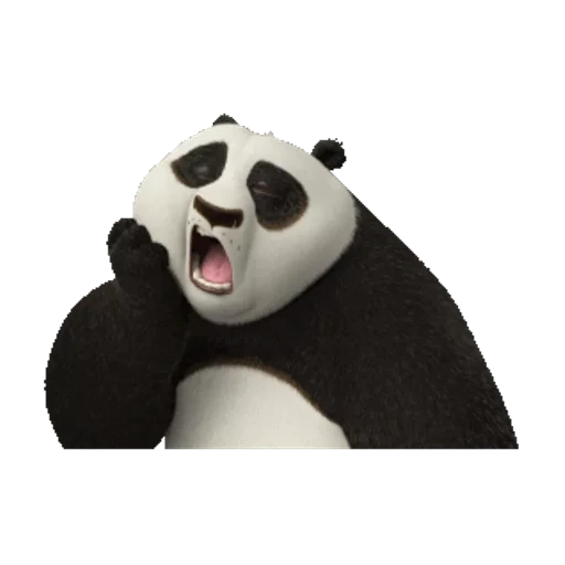 panda, wahrer panda, kung fu panda, kung fu panda, kung fu panda 3