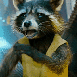 raccoon, реактивный енот, стражи галактики, стражи галактики часть 2