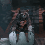reactive raccoon, guardians of the galaxy, guardians of the galaxy part ii, galactic guardian raccoon sit