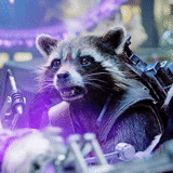 raccoon, raton laveur réactif, garde de la galaxie raccoon, raccoon rocket gardien de la galaxie