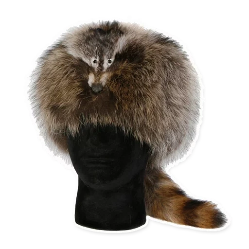 raccoon hat, fur hat, raccoon color of fur, cuttled raccoon hat, american raccoon hat