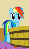 arcobaleno dash, rainbow dash, pony rainbow dash, la figlia di rainbow dash, arcobaleno dash alambicco