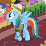 rainbow dash, rainbow dash 20, pony rainbow dash, arco iris dash pirata, general rainbow dash