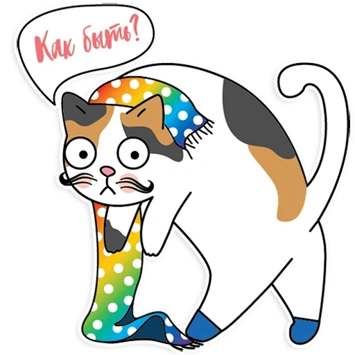 gatto, gatto arcobaleno, gatto divertente, gatto insoddisfatto arcobaleno, seal insoddisfatto arcobaleno