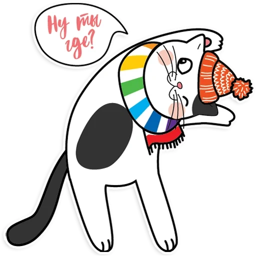 cane di mare, seal a, gatto arcobaleno, gatto arcobaleno, gatto insoddisfatto arcobaleno