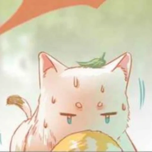 kucing, kucing, anime kawai, nanko sensei, anime kucing yang beruntung