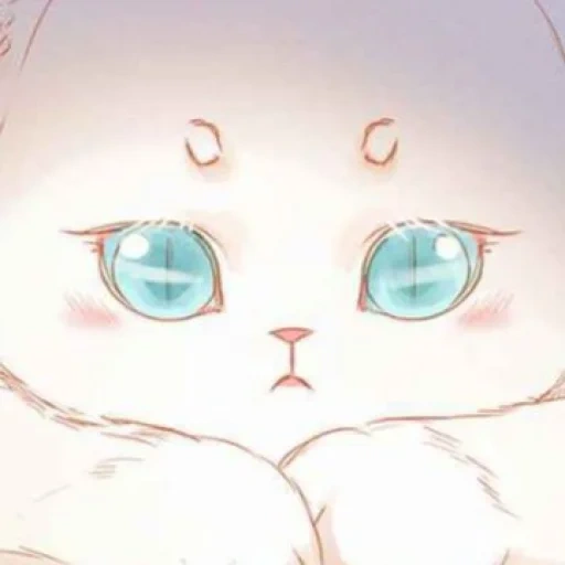 gatto, anime nyashki, bello anime, disegni carini anime, olhos de gato anime