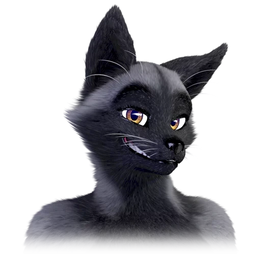 gato, zrryn, gato preto, zrryn peludo, oriental gato furry