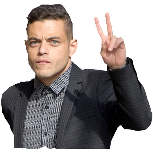 jeune homme, lermi malek, frère rami malek