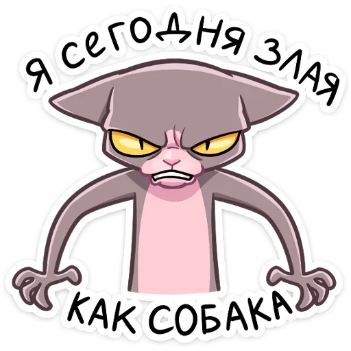 кошка клео, рамзес клео