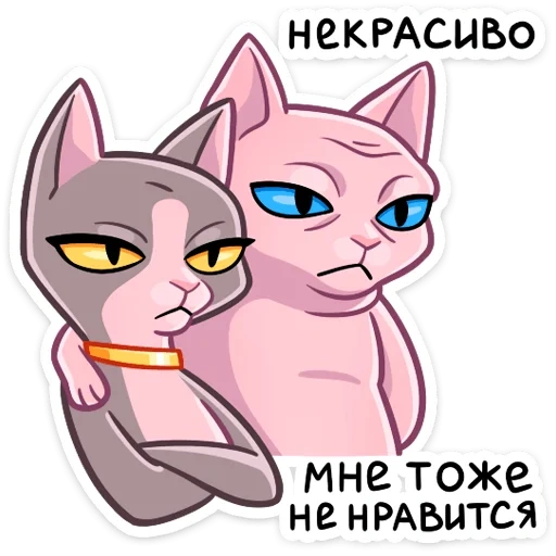 кот, клео, кот рамзес, кошка клео, рамзес клео