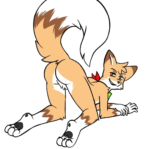 raposa, pequenos gatos, furry werefox, gatos voits fox