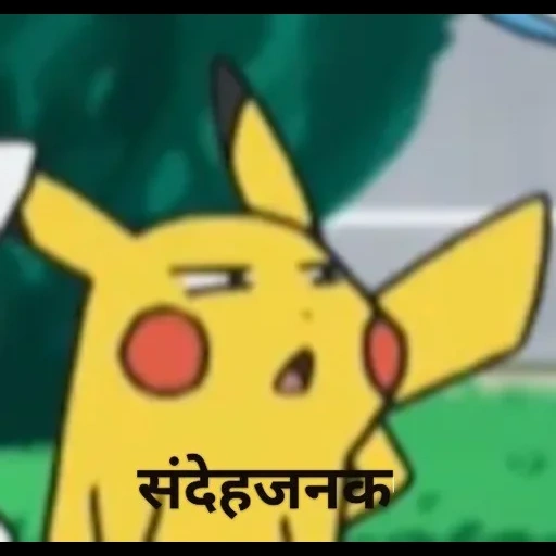 pikachu, i pokemon, pikachu meme, pikachu è confuso, pokemon di pikachu