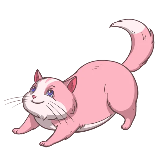 gato, gatos, evolución de slopon, dibujo gato gordo