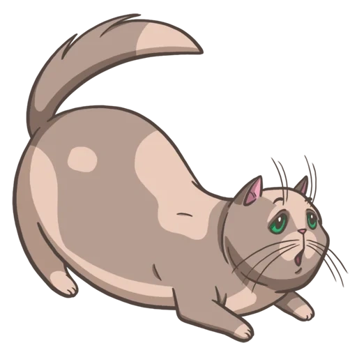 cat, selo, gato de vetor, padrão de gato gordo, millie cat warrior wiki