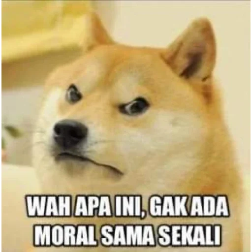 doge dog, dog meme, doge meme, doge, doge memm dengan teks