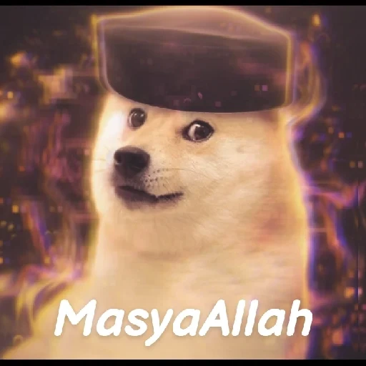 doge retard, doge dalam seragam militer, doge king, fun, doge