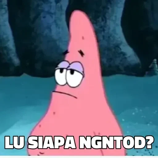 patrick, patrick, patrick si bintang, patrick shock, patrick meme indonesia