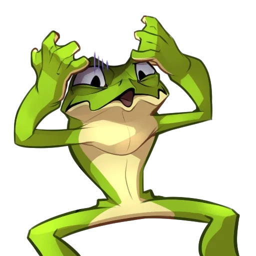 frog, frog, toad frog, frog cardboard, crazy frog