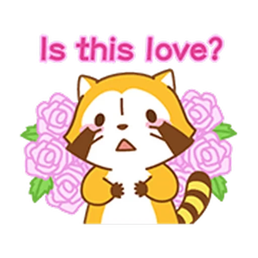 love, raccoon, nippon, raccoon slop, the animals are cute