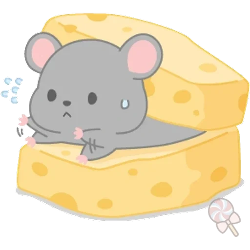 the mouse, käse für die maus, ratten essen käse, ein stück rattenkäse, maus cartoon käse