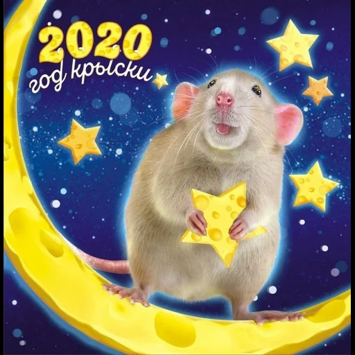 año 2020, año de la rata, año nuevo 2020, símbolo de 2020, postal de 2020