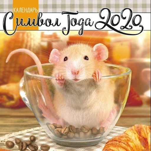hamster, korb, die tiere sind süß, dekorative ratten, kalenderabdeckung 2020 ratte