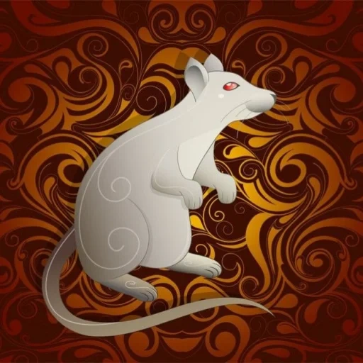 ratos, ano do rato, mouse de rato, rato branco, rato horóscopo chinês