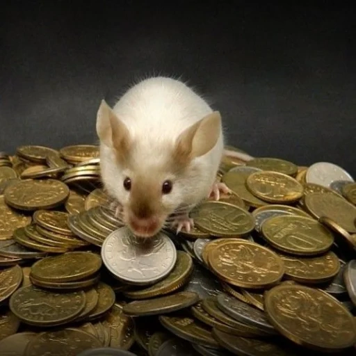 uzuya mice, cash ritual, witch hay 2, computer mouse, decorative rat passyuk